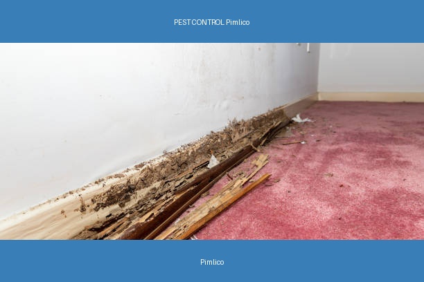 PEST CONTROL Pimlico